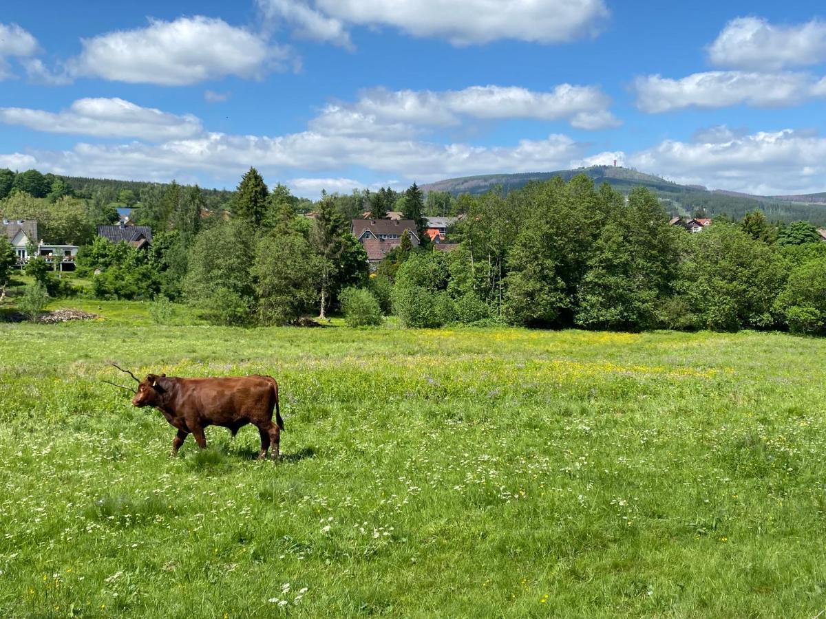 Berglage - Das Urlaubzuhause Daire Braunlage Dış mekan fotoğraf