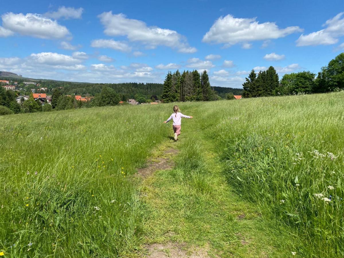 Berglage - Das Urlaubzuhause Daire Braunlage Dış mekan fotoğraf